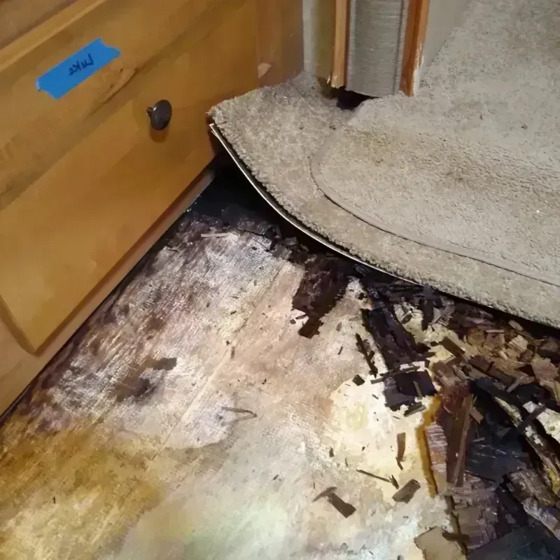 Wood Floor Water Damage in Collinwood, OH